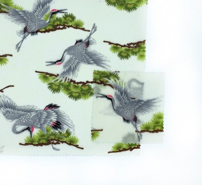 Grey Heron Bird-White background